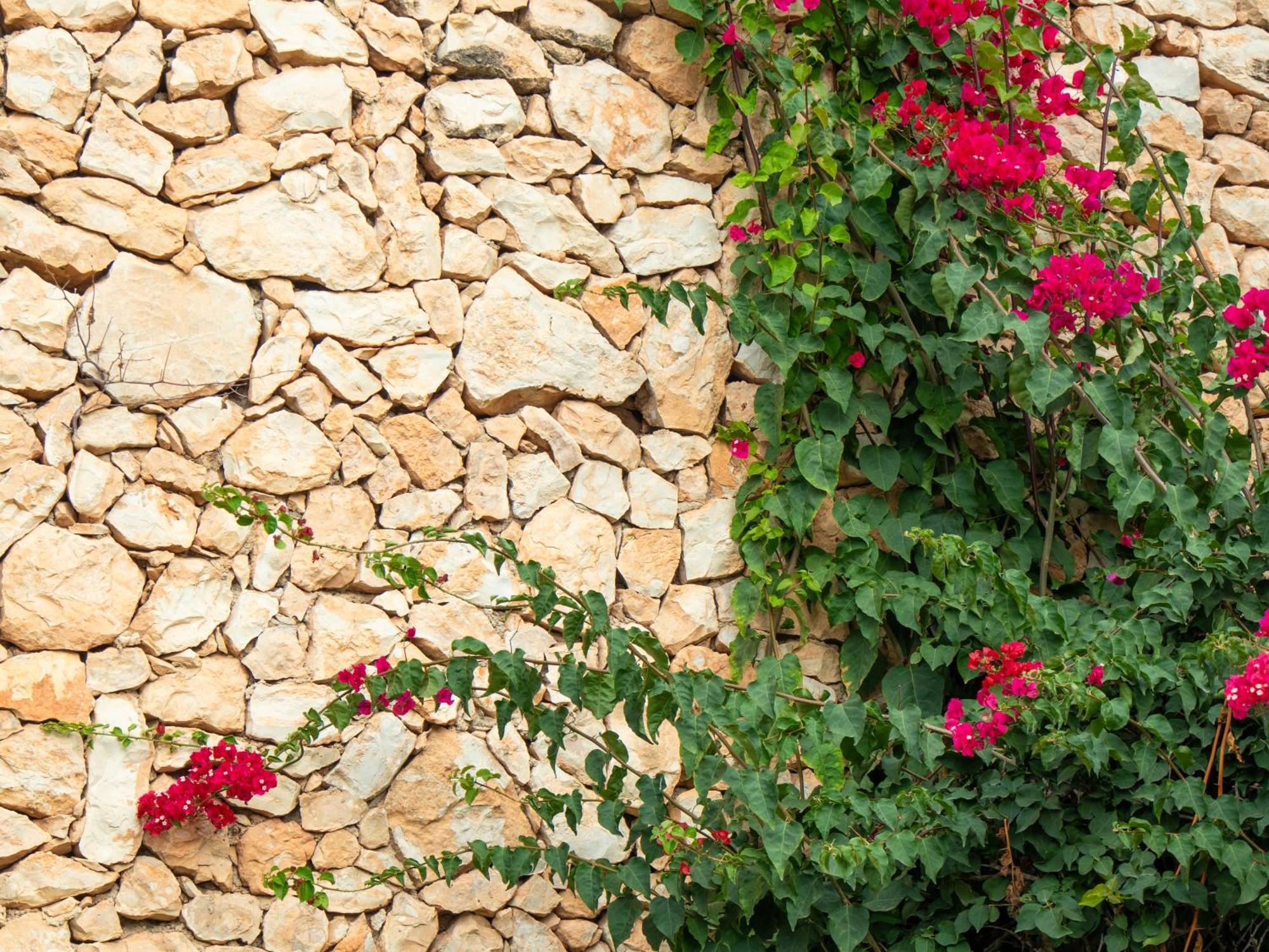 Hotel Montepiedra 4""Sup Dehesa de Campoamor  Ngoại thất bức ảnh